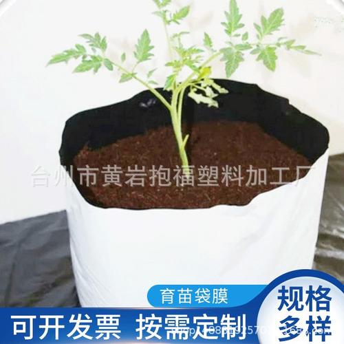 出口PE农用黑白花盆套 为植物生长打造的创新保护方案