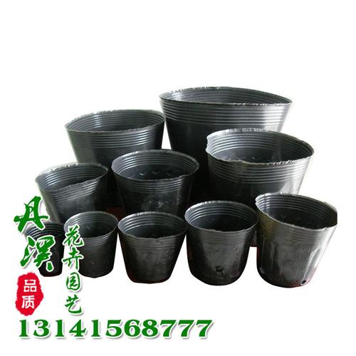 厂家低价批发营养钵 加厚育苗袋规格齐全 助力高效育苗